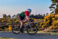 Photo-08-04-2025-19-04-22