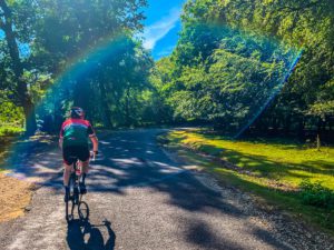 New Forest Cyclist Squirrel Solo